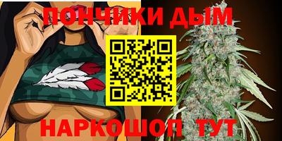 apvp Дмитров